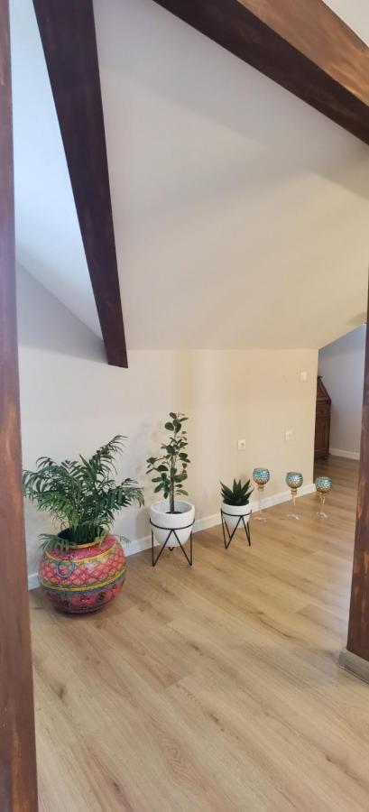 שומן Mitra Luxury Apartments מראה חיצוני תמונה