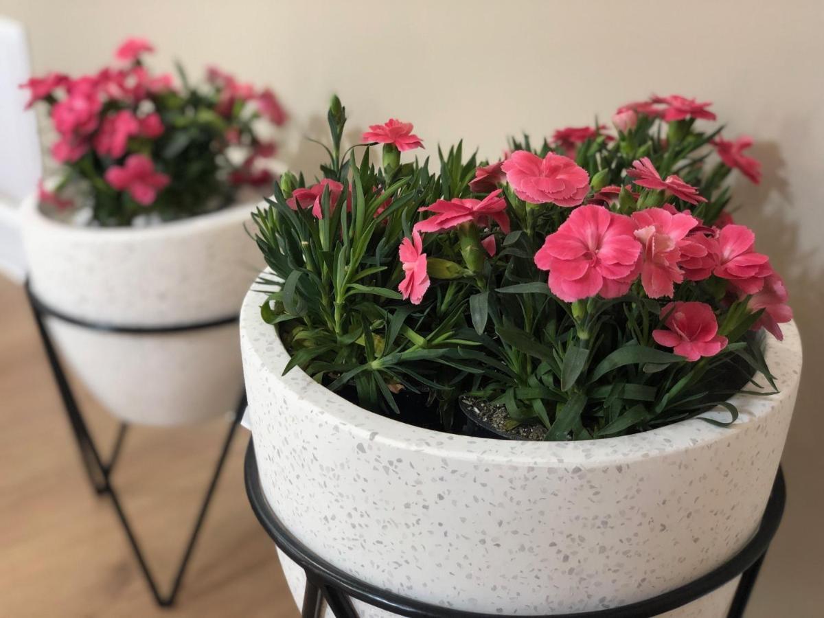 שומן Mitra Luxury Apartments מראה חיצוני תמונה